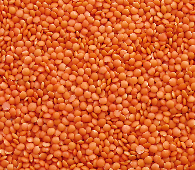 Masoor Daal
