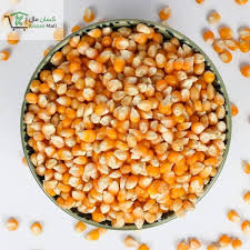 Special Pop Corn